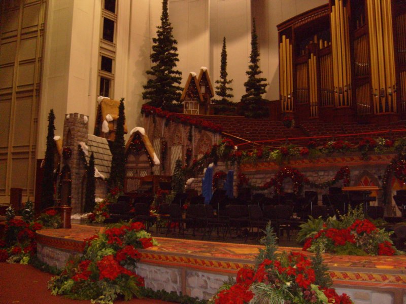 s7300901.jpg